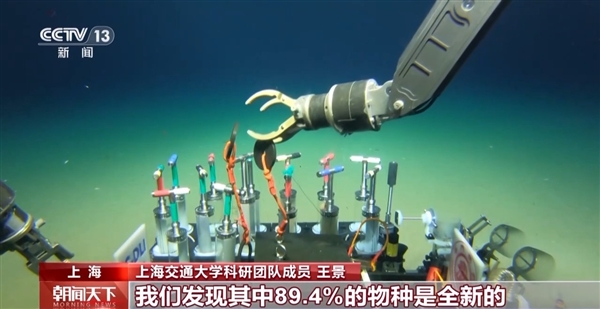 全球首個(gè)！中國科學(xué)家繪制出深淵生態(tài)系統(tǒng)全景圖