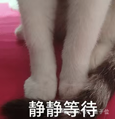 停滯50年的計(jì)算機(jī)理論僵局被打破！少量?jī)?nèi)存 可節(jié)省大量計(jì)算時(shí)間