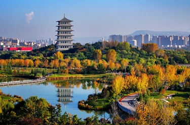 透視華安張江產(chǎn)業(yè)園REIT 2024年報：虧損現(xiàn)狀與出租率新動態(tài)，華安張江產(chǎn)業(yè)園REIT年報揭秘：出租率好轉(zhuǎn)卻難掩虧損困境